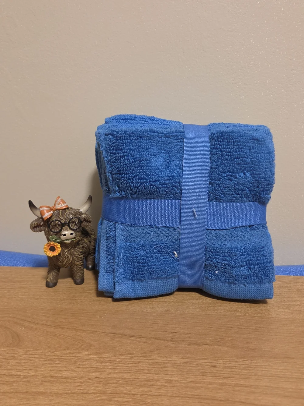 Aston Arden Blue 6-Pack Cotton Washcloths